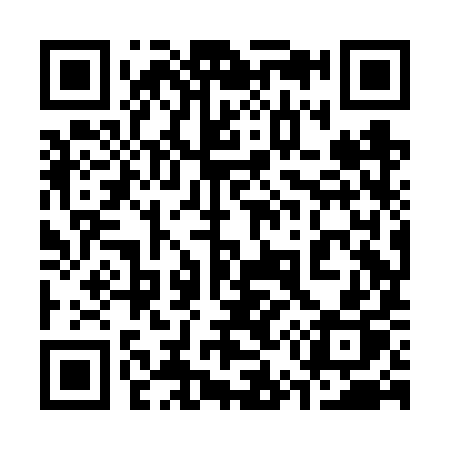 QR code for 358FYP