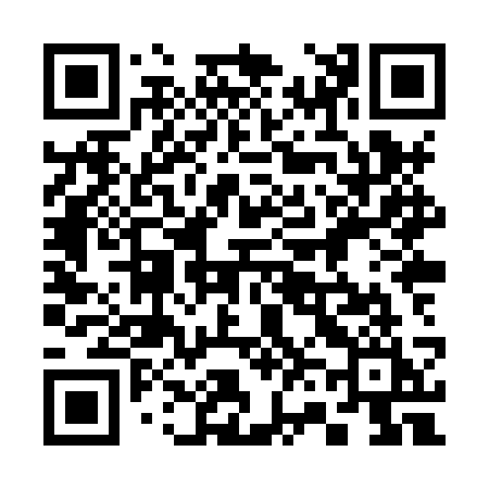 QR code for 368XSI