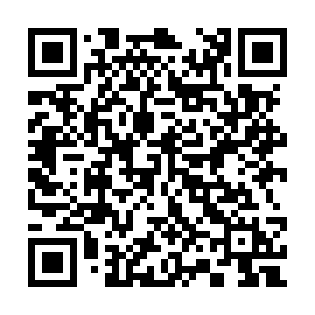 QR code for 369MSH
