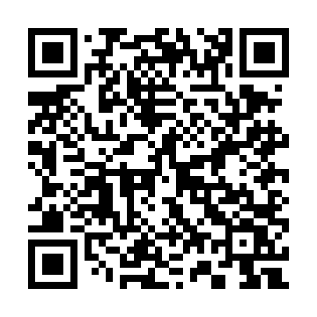 QR code for 370DLV