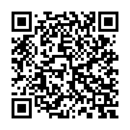 QR code for 370FLS