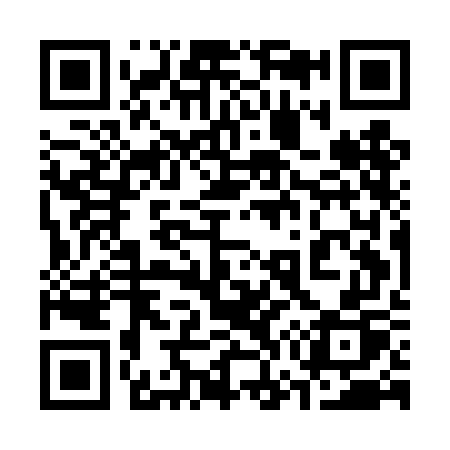 QR code for 375DGP