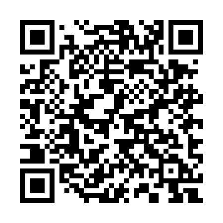 QR code for 375DID