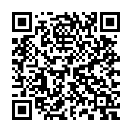 QR code for 375DZT