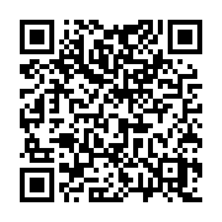 QR code for 375LSX