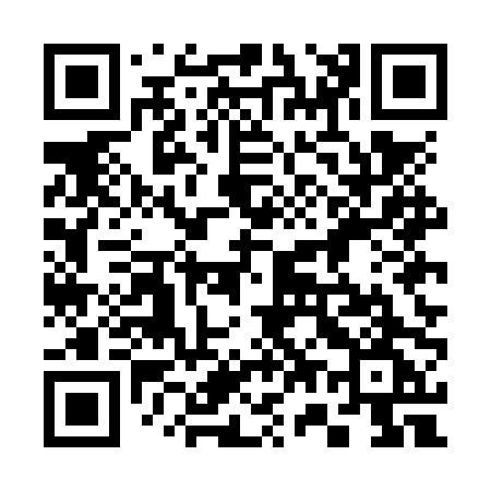QR code for 375NPG