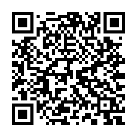 QR code for 375PZR