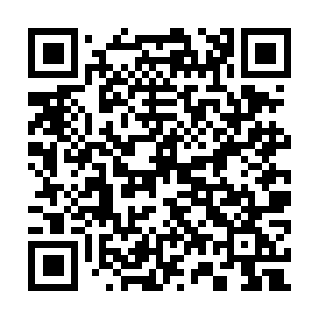 QR code for 376DOG