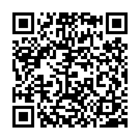 QR code for 377DSS