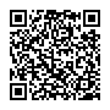 QR code for 377GOS