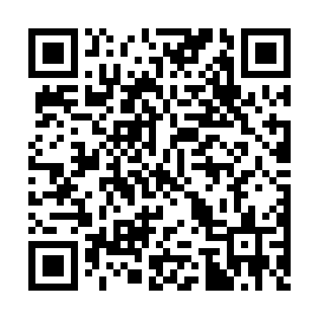 QR code for 377POS