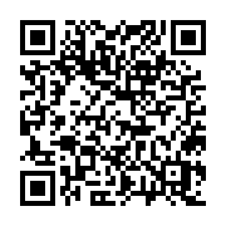 QR code for 377POT