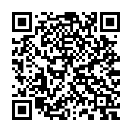 QR code for 377PPR