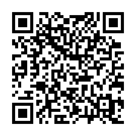 QR code for 377SRM