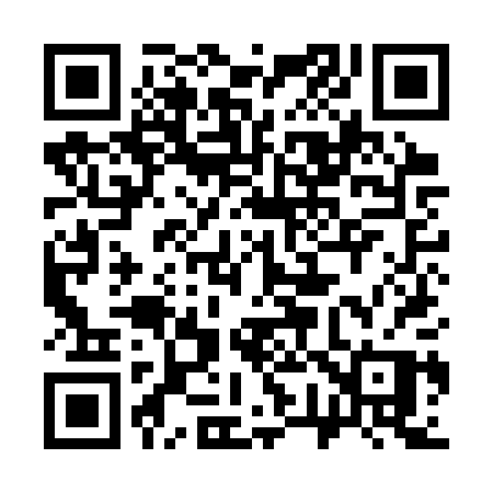 QR code for 379CPP