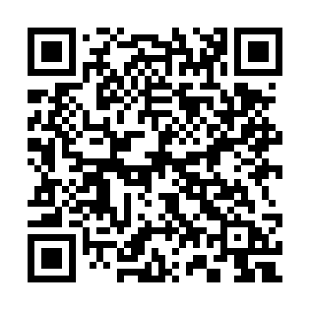 QR code for 379DSB