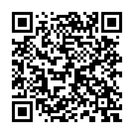 QR code for 379DTO