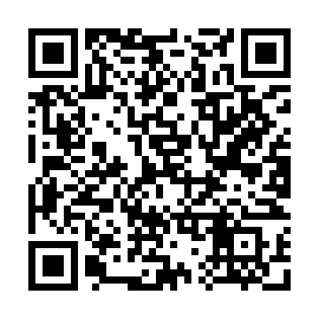 QR code for 379INS