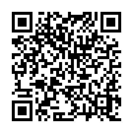 QR code for 379LIZ