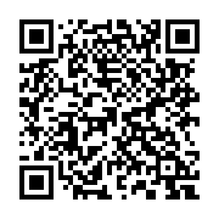 QR code for 379MSF