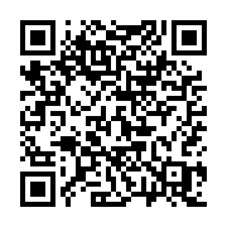 QR code for 379PCC