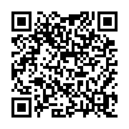 QR code for 379SFF