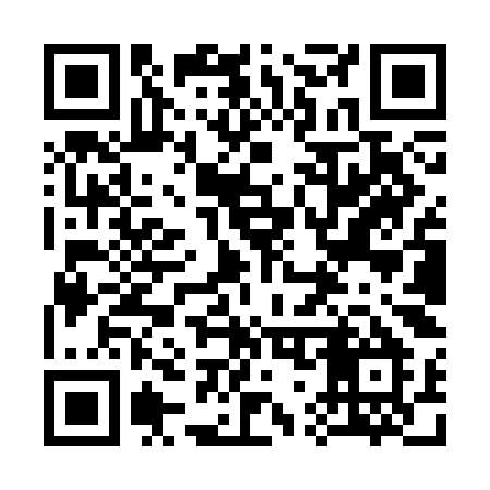 QR code for 379SKM