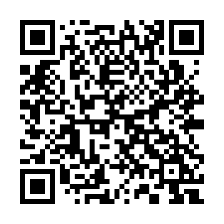 QR code for 379STM