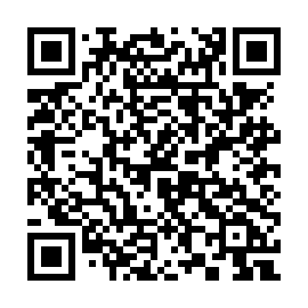 QR code for 380NDF