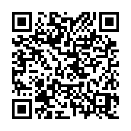QR code for 381CHR