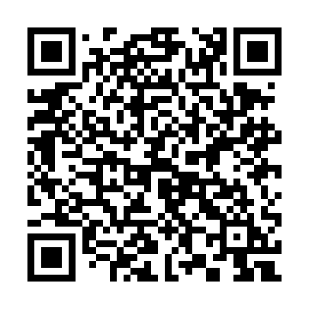 QR code for 381DAI