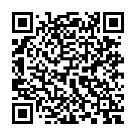 QR code for 381DGI
