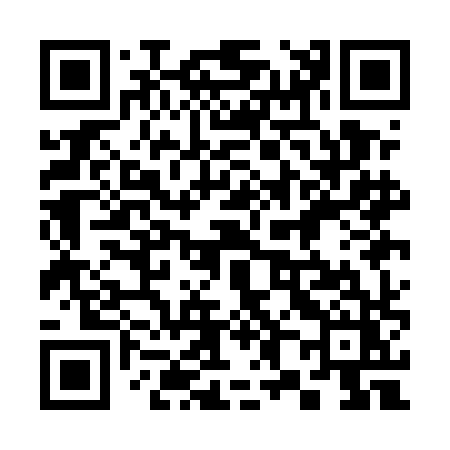 QR code for 381EHZ