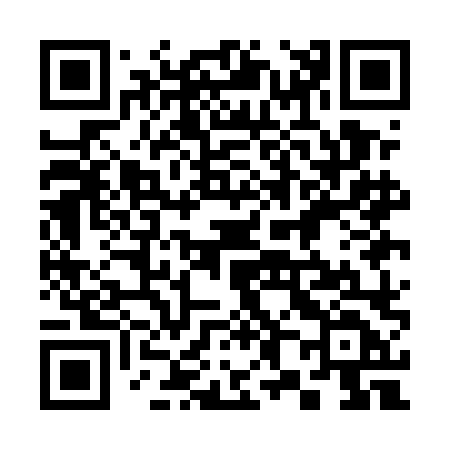 QR code for 381ELD