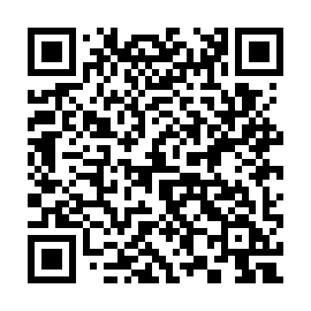 QR code for 381GYF