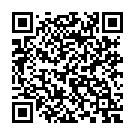 QR code for 381HCN
