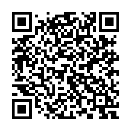 QR code for 381HHI