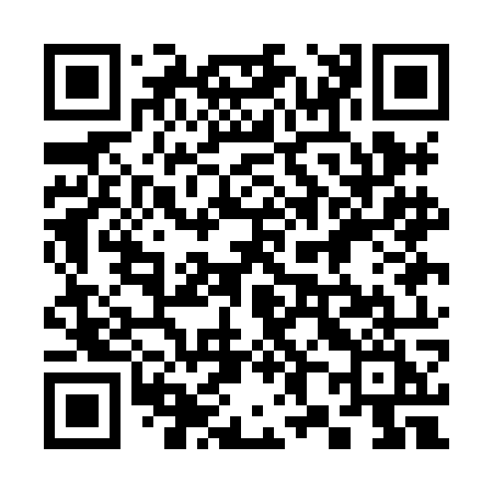 QR code for 381HOI