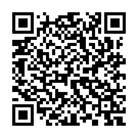 QR code for 381INN