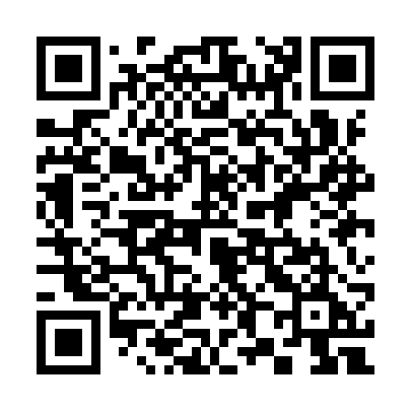 QR code for 381IRE