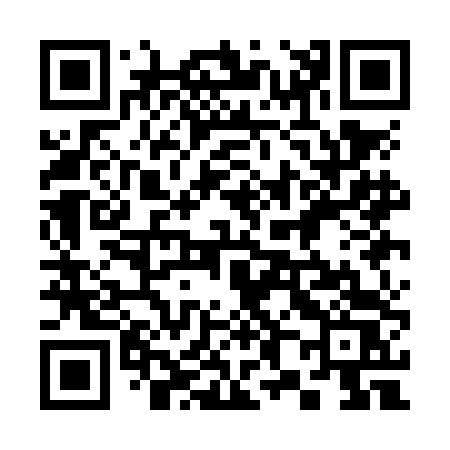QR code for 381NDS
