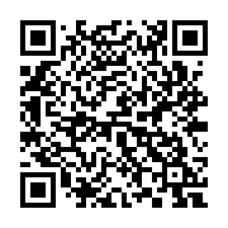 QR code for 381QSG