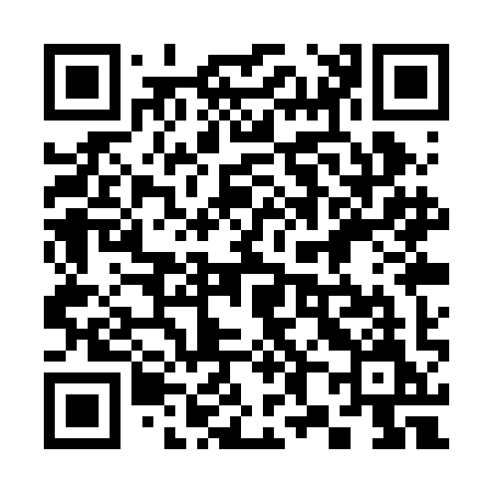 QR code for 381RIM