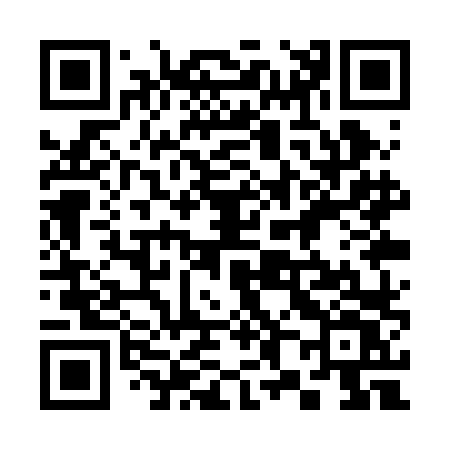 QR code for 381RLV