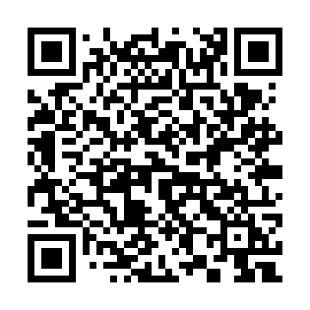 QR code for 381VOI