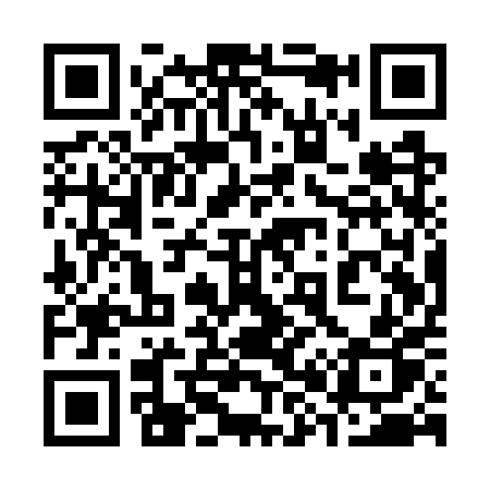 QR code for 381WPP