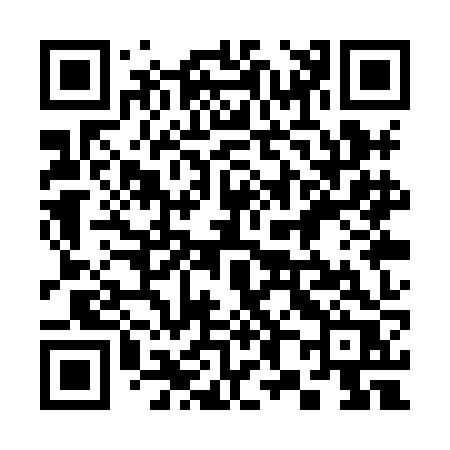 QR code for 381XJR