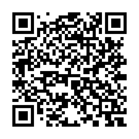 QR code for 381XUS