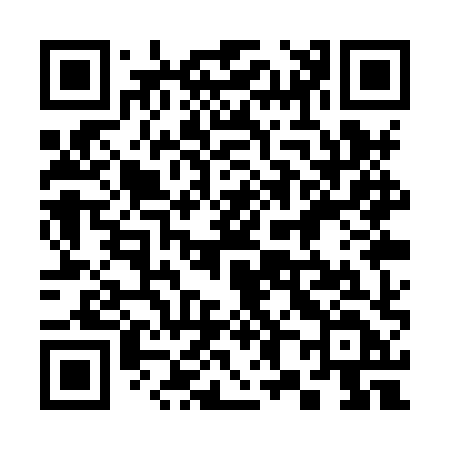 QR code for 381XXD