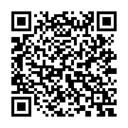 QR code for 381ZGY
